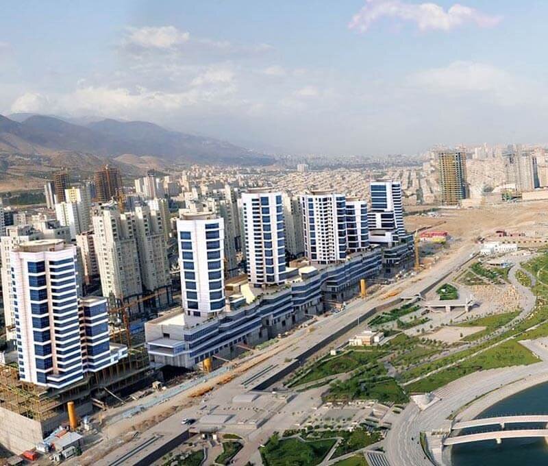 سرنوشت تلخ درختان چیتگر؛ از اشتباهی در ۵۰ سال پیش تا قطع و سوزاندن درختها 5 سرنوشت تلخ درختان چیتگر؛ از اشتباهی در ۵۰ سال پیش تا قطع و سوزاندن درختها