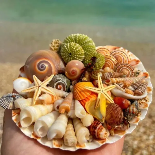 صنایع دستی و سوغات بوشهر 11 صنایع دستی و سوغات بوشهر