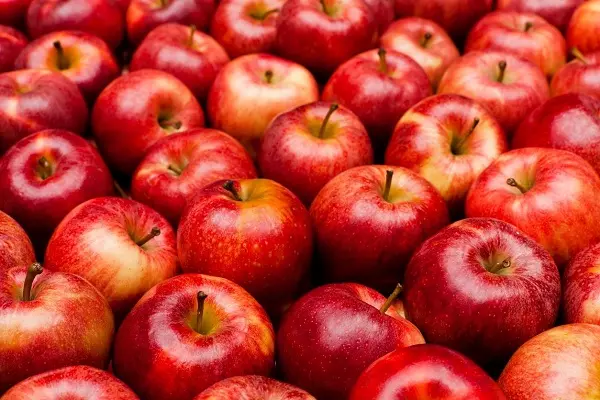 شب یلدا _ همه چیز درباره جشن کهن ایران باستان 7 شب یلدا _ همه چیز درباره جشن کهن ایران باستان