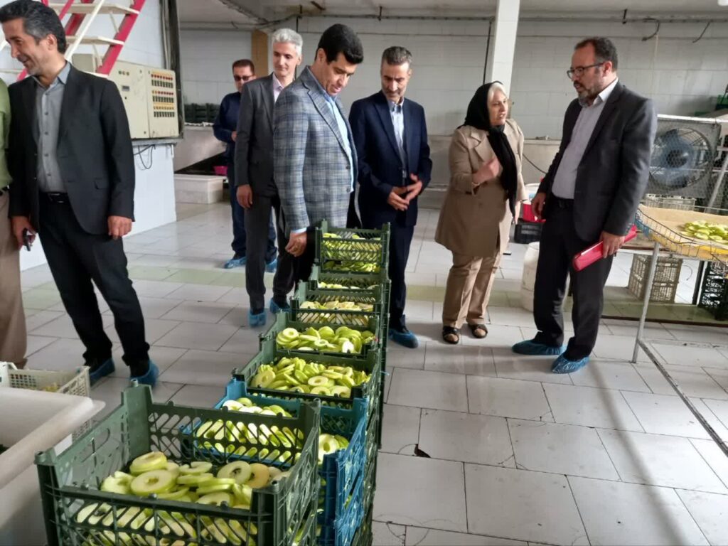 بازدید بازرس کل استان گلستان از واحدهای تولیدی شهرک های صنعتی شهرستان گنبدکاووس در صنعت بسته بندی و میوه خشک 1 بازدید بازرس کل استان گلستان از واحدهای تولیدی شهرک های صنعتی شهرستان گنبدکاووس در صنعت بسته بندی و میوه خشک